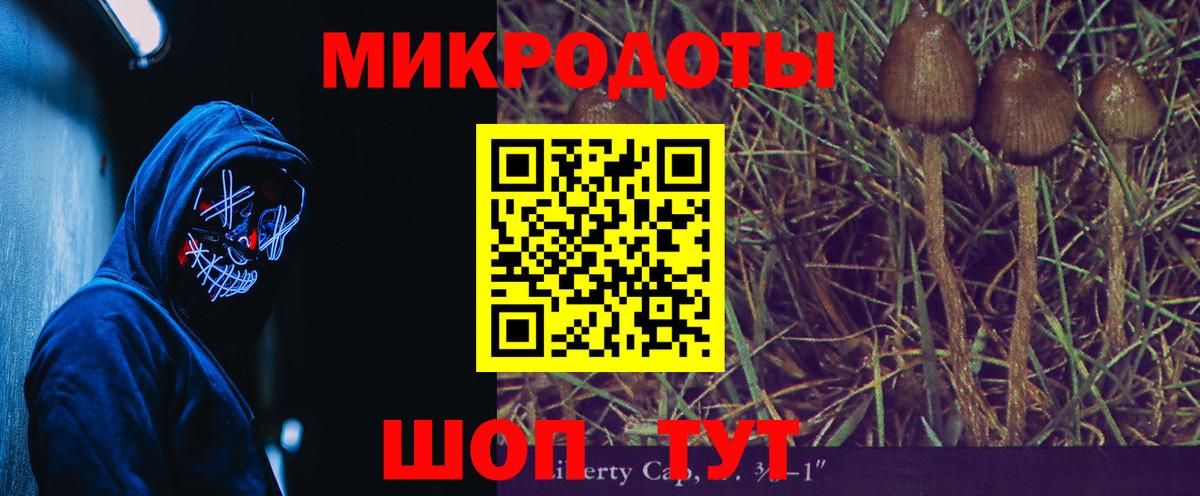 Знаменск  Галлюциногенные грибы MAGIC MUSHROOMS  Вход с VPN  Псилоцибиновые грибы MAGIC MUSHROOMS 